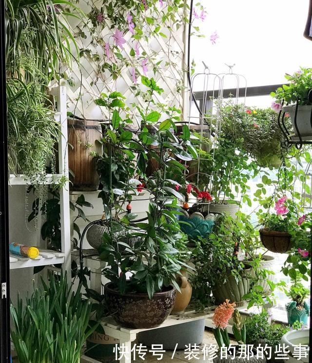 「贼溜溜」喜欢养花的朋友,几个臭毛病,出门变得贼溜溜,看你有没有