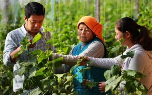  「未来」未来几年里，农村的年轻人，人人要准备好三笔钱，每一