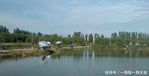  【策略】只要讲策略、分步骤，黑坑想上岸，其实并不难