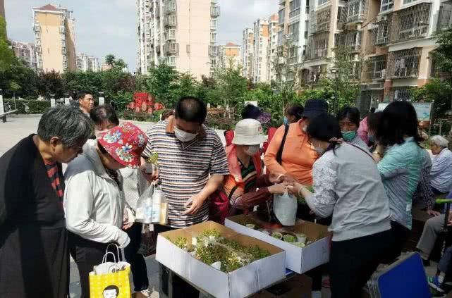  「归宿」“绿色典当”来到家门口，低附加值物品等有了好归宿