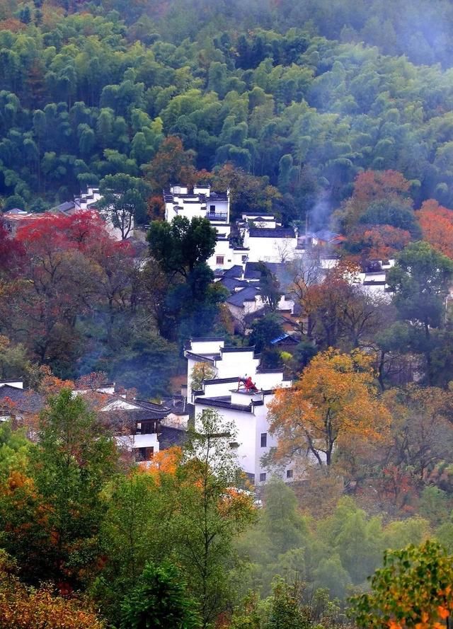 徽州秋日最美省道S215，自驾2小时前往，私藏众多秋色