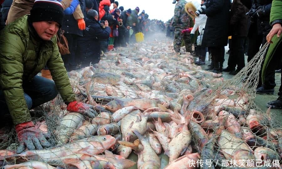 中国北方最神奇的湖，鱼越捞越多，游客不知情，本地人道出真相
