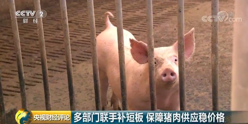  「二师兄」为了“二师兄”，六部门齐发声！稳猪价，啥办法？
