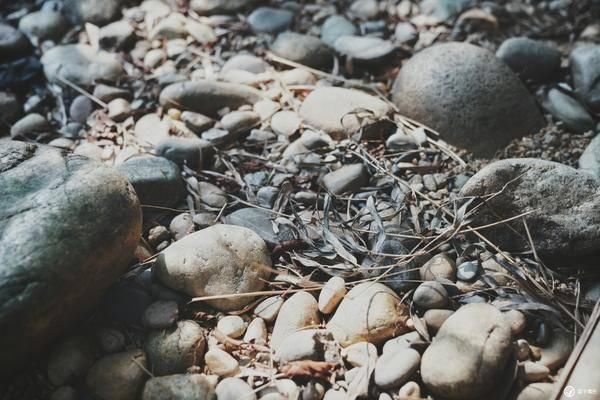 我的2018追寻四季，走走停停