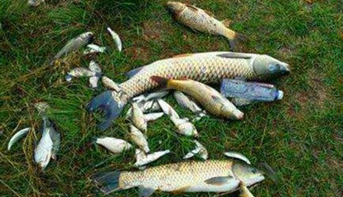  『更换』野钓中钓不到鱼，不需要更换线组，动动铅坠就有效！