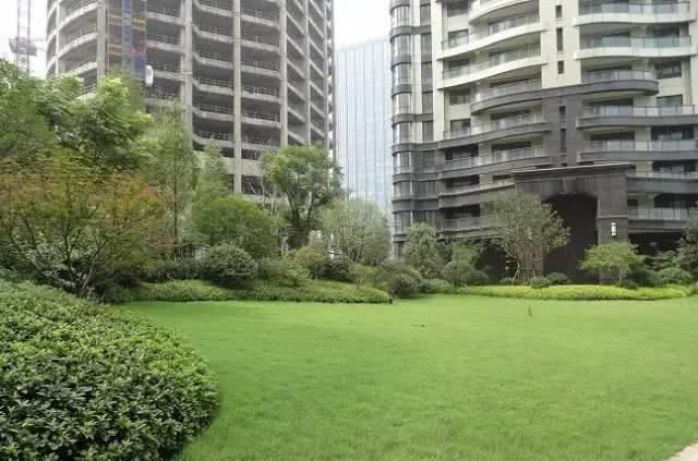 「观赏效果」园林植物搭配技巧,活学活用