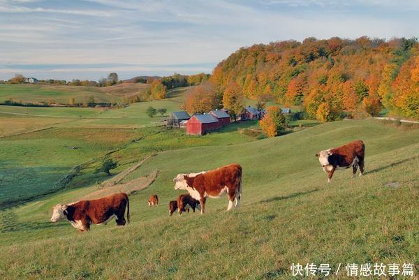 中国与美国的差距有多大看看美国的农村，总算明白了！