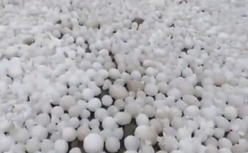 芬兰海岸发现数千个稀有冰蛋，当地居民表示从未见过这样的奇观