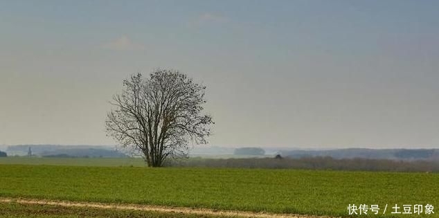  【城市】中国“最平坦”的城市，人口达到800多万，是你家乡吗？