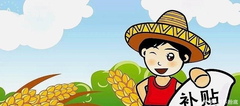  利润■承包30亩地，租金1000元/亩，一年利润是多少？农业补贴归