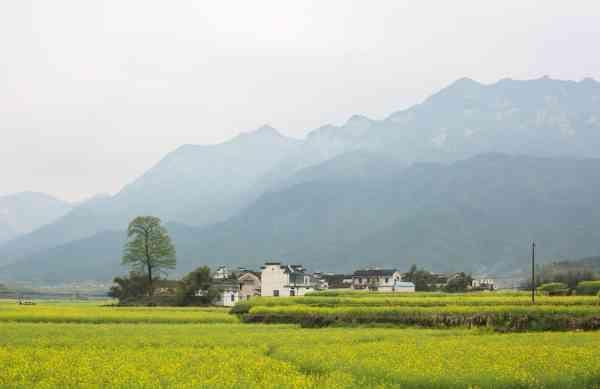 观察｜最新分析预测：2030年我国农村剩余人口约4亿人