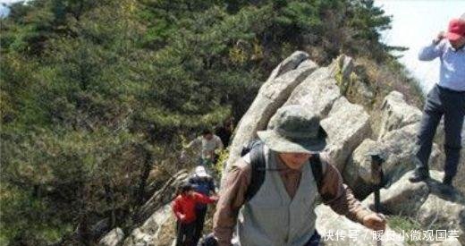 游客偶然发现的东西价值上百万，回去直呼后悔，专家还好你没摘