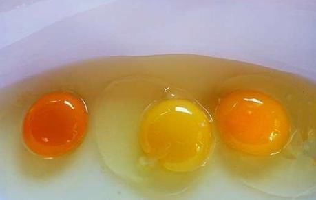  『蛋黄』虚假宣传上当一年多？土鸡蛋鉴别认准一点，这次不听专家的~