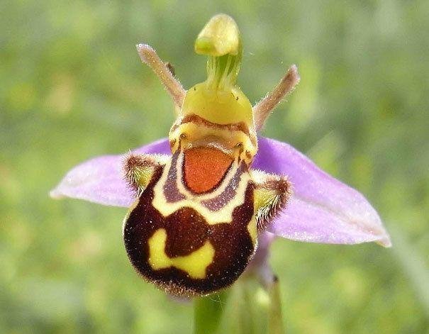 13张像ps出来的图片，却都是自然界真实存在的