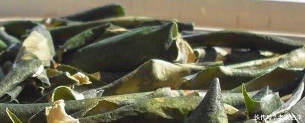 「敞开」男人若有前列腺炎,平时敞开吃6物,杀菌消炎,炎症或“自然消”