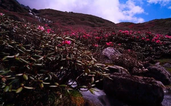 西藏有一处地方经常被误会，只因拥有和云南类似的气候