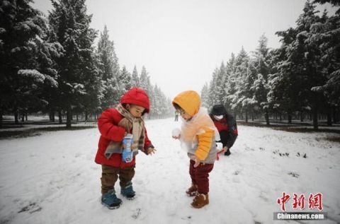 北京迎来今冬第二场雪 天坛雪景美不胜收