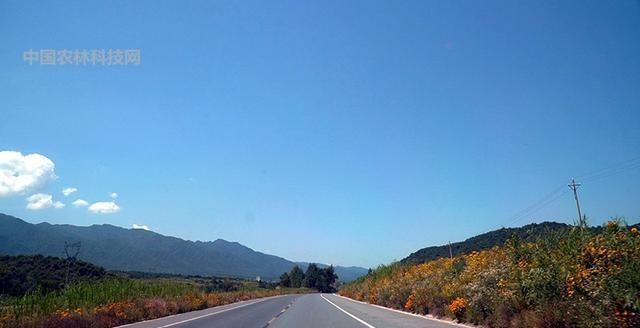 自驾游眉凤路到太白山以西第一高峰玉皇山，人少景美你一定要来哦