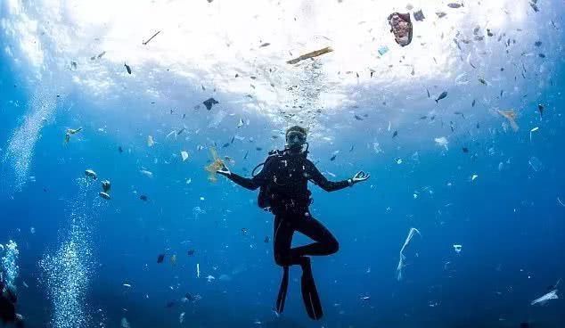 逼疯上海人的“垃圾分类”背后，藏着14亿中国人不知道的残忍真相