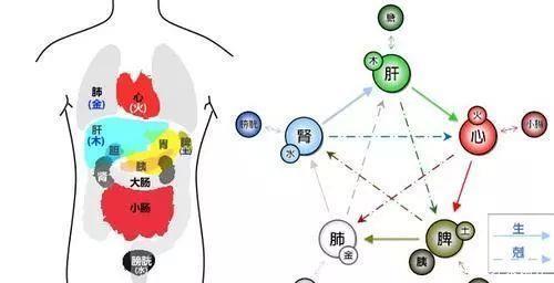  「找齐」终于找齐了！中国知识大全63集，都是中国人的骄傲！谁