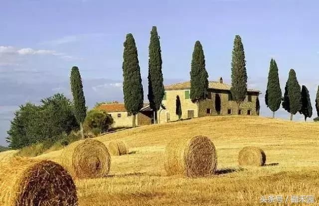 农民千万别再被骗了!这18个农业项目都是骗人的!