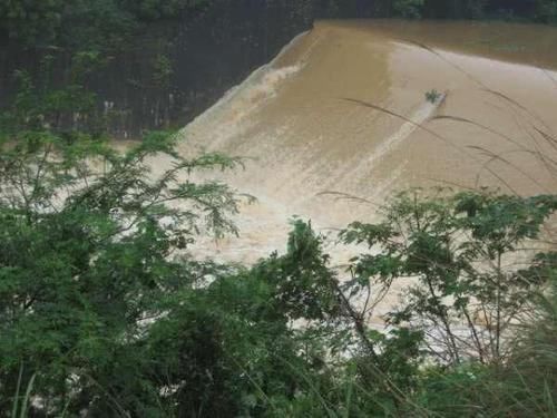  nbbrs_此鱼2两左右的最好吃，嘴巴属于天包地，非常考验钓鱼人的技术
