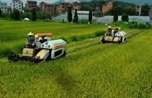  适合|2020年适合农村创业好点子，开年第一波，低成本高收入