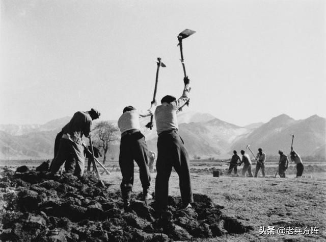 50年代初，西藏和平解放路上珍贵影像