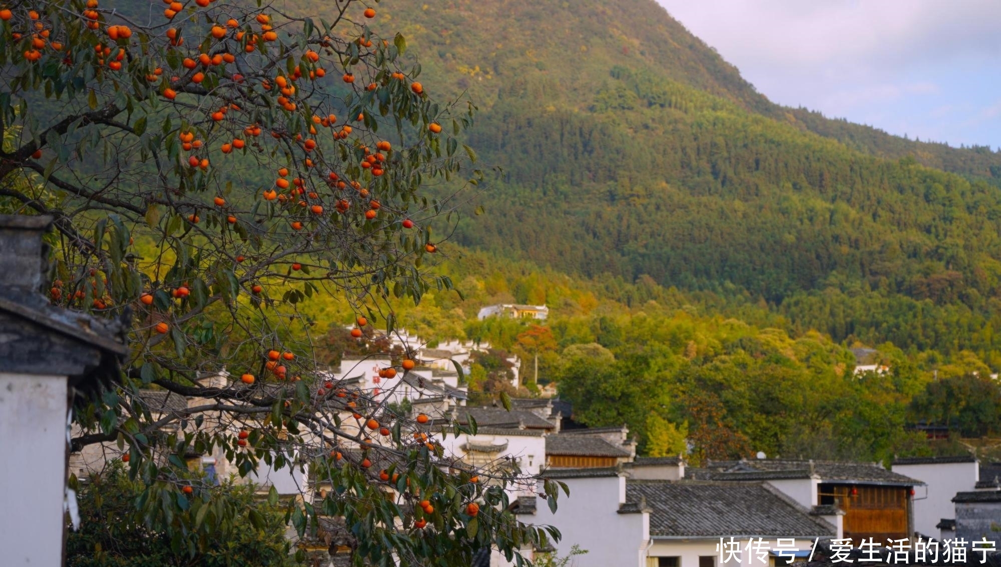 安徽最美秋色即将上线 三个人少景美的赏秋胜地 错过要再等一年