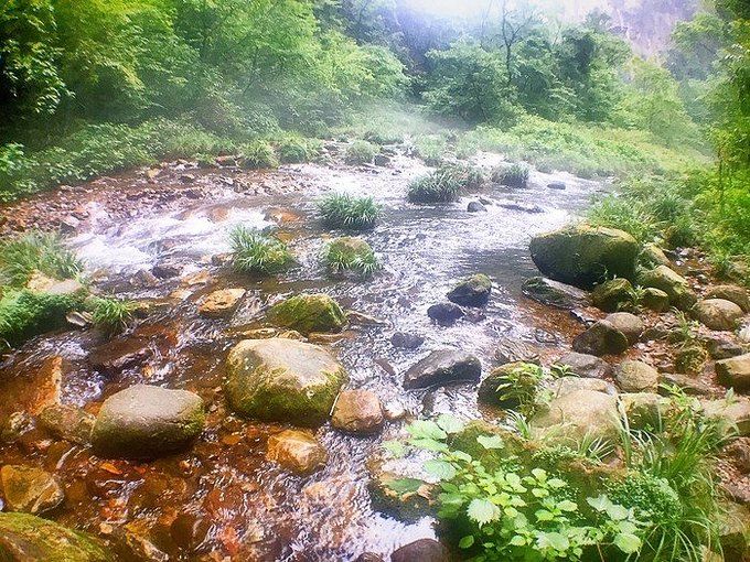 择一城终老，必是张家界与凤凰