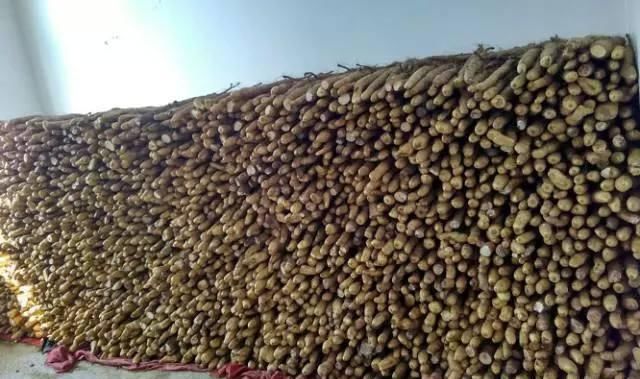  [遭遇]去年6元一斤不够卖, 大胆扩种30倍, 今年遭遇低价, 本钱都