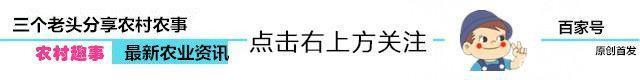  【农民】农村便民天然气改造，农民为何不买账！农民反问3句，专
