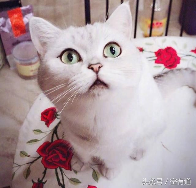 崔永元重归微博，最新发文，这是大轰炸还是大欺骗？伦家分不清楚