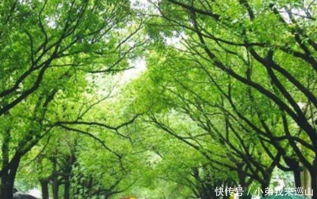  【地区生产总值】我国三座带“州”的城市，一个比一个有钱，有