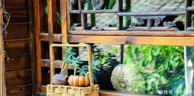  庭院|乡村的庭院，大家为什么这么喜欢