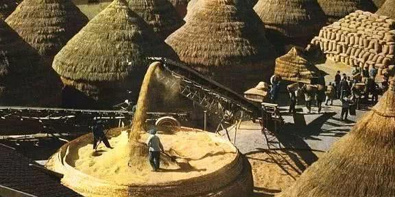 一组记录上世纪七十年代人民公社开展生产运动的珍贵老照片