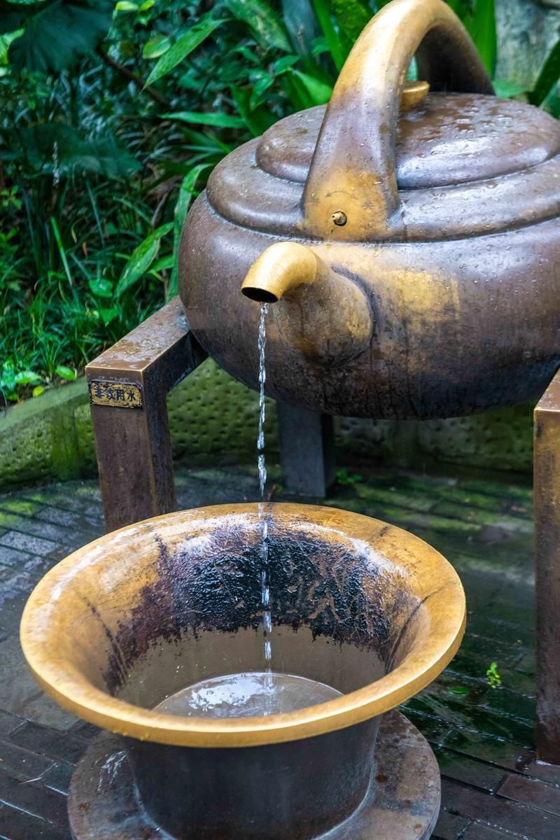 去成都旅行为什么一定要去茶馆喝盖茶?游客:来了不想走!