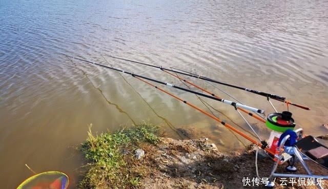 『分享』分享一些钓鱼常识,很多钓鱼人都不知道