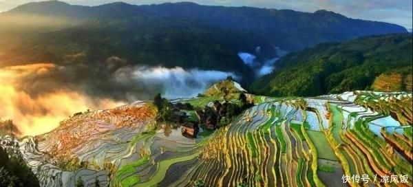 「限公司生产车间」春回大地,贵州巾帼防疫生产两不误,田间车间劳作忙