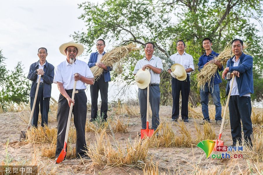 甘肃武威：当代愚公将沙漠变绿洲 六老汉三代治沙人共奋斗