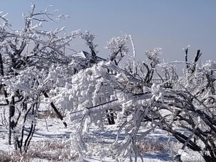 美如童话!淳安雾凇奇观太惊艳