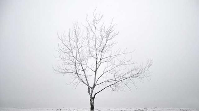 「情感散文」冬日恋歌