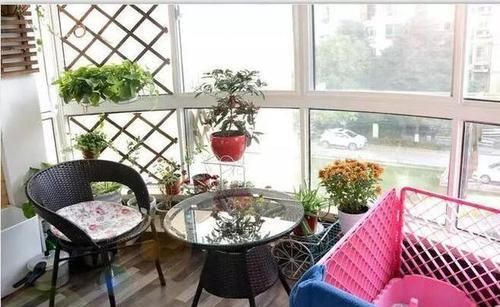  #花架#原来阳台还能这样种花，一看就像个花园，太漂亮了！