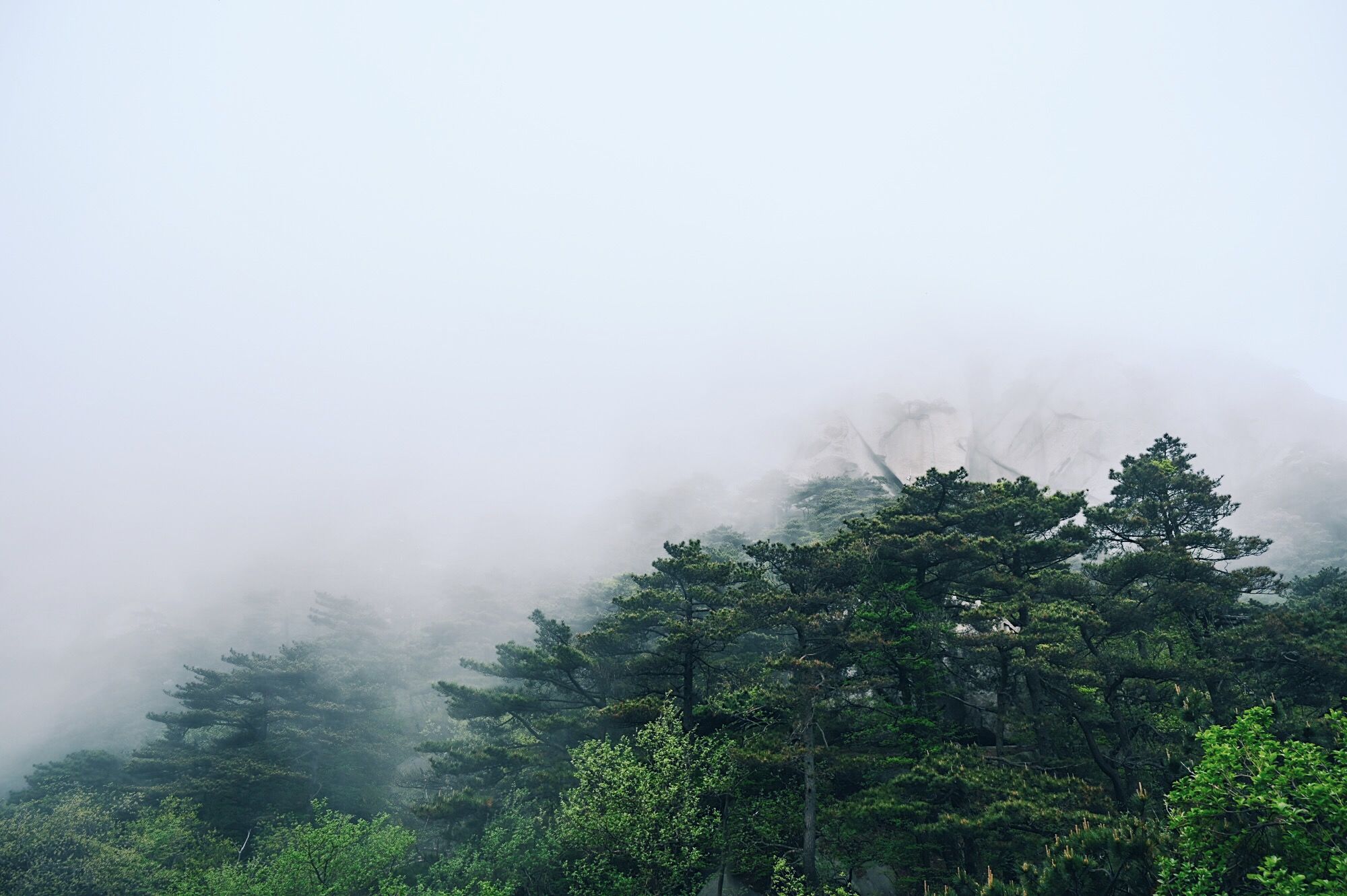 走进北纬30°的天柱山，一处风光秀丽又神秘的地方