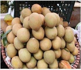  『还真是让我』外公养了多年的盆栽，却摘下来一盆“鸡蛋”，看的邻居都笑哭