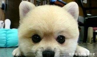 单身无罪，但要交税！难道“单身税”真的要来了吗