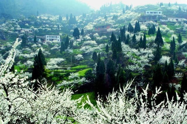 四川贵州合建时速350公里的高铁，沿途5市，届时遵义泸州1小时直