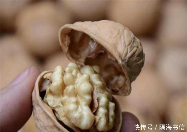  地下：它被称为“地下核桃”，又能产油又能喂猪，为啥中国农民