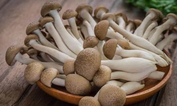 节食减肥很痛苦，三餐吃脂肪最怕的七种食物！一天瘦一斤没问题