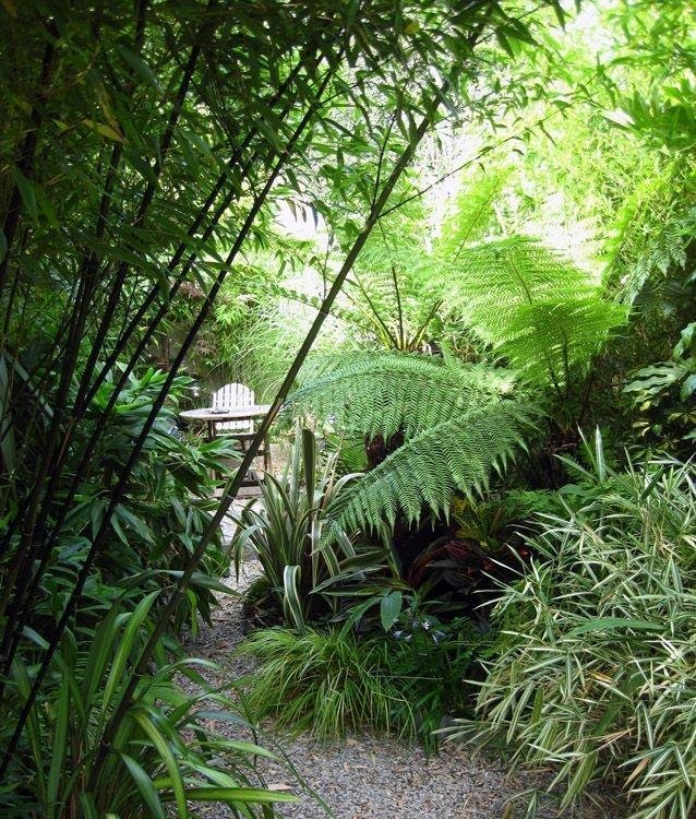 庭院竹子50张图告诉你，花园里种竹子有多高大上，气质瞬间提升